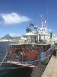 Kapal reefer untuk jualan