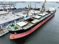 Pembawa pukal untuk jualan