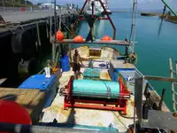 Trawler untuk jualan