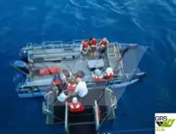 Kapal pelayaran untuk dijual