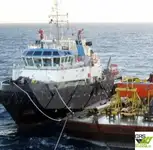 Kapal tunda untuk jualan