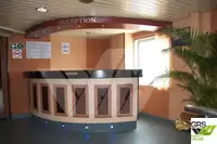 Ro-Ro ship untuk jualan