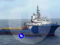 Pembawa pukal untuk jualan