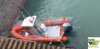 Bot kembung tegar untuk jualan