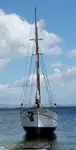 Kapal feri untuk dijual