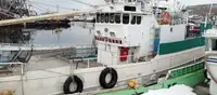 Kapal pukat untuk dijual