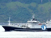 Kapal pukat untuk dijual