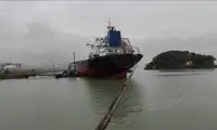 Pembawa pukal untuk jualan