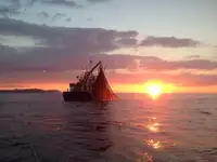 Kapal pukat untuk dijual