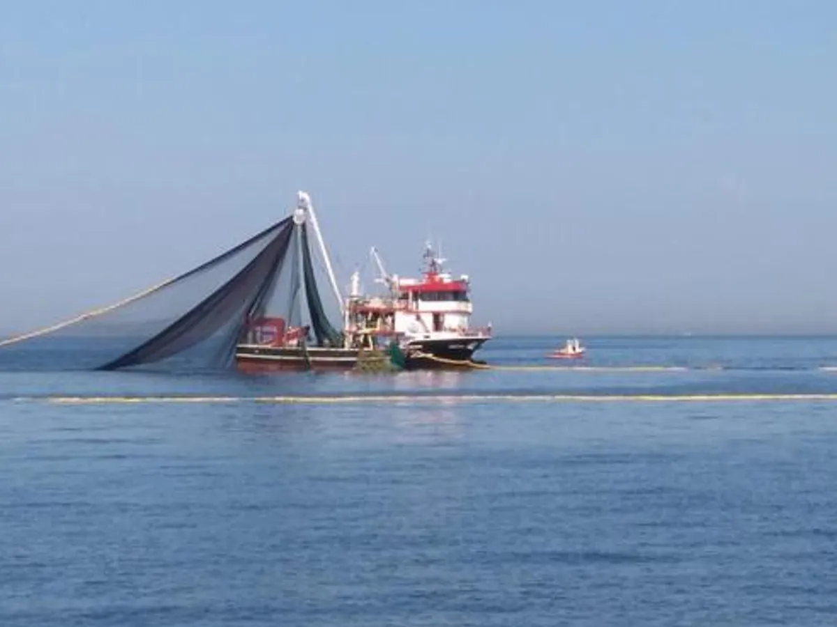 Kapal memancing untuk dijual