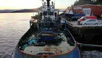 Kapal tunda untuk dijual