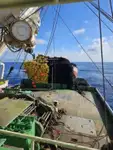 Kapal pukat lilit untuk dijual