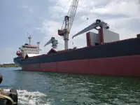 Pembawa pukal untuk jualan