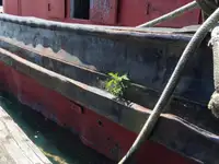Kapal tunda untuk dijual