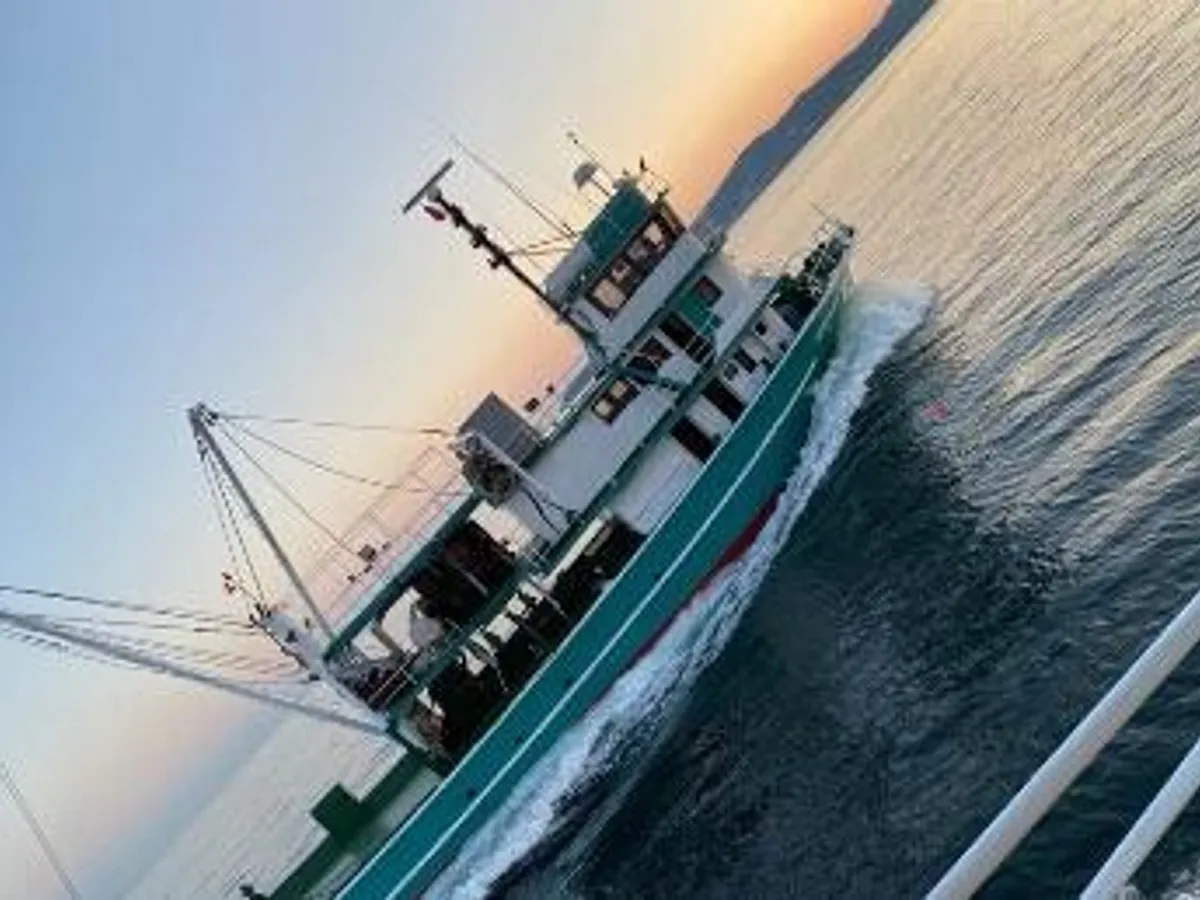 Kapal pukat lilit untuk dijual