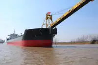 Pembawa pukal untuk jualan