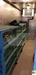 Kapal pelayaran untuk dijual