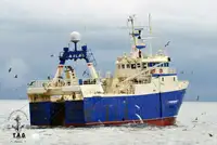 Kapal pukat untuk dijual