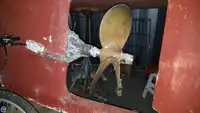 Kapal pukat untuk dijual