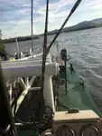 Kapal pengorek untuk dijual