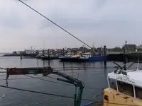 Kapal pukat untuk dijual