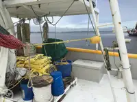 Kapal pukat untuk dijual
