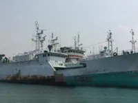 Kapal pukat panjang untuk dijual