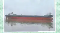 Kapal Kontena untuk jualan