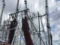 Kapal pukat untuk dijual