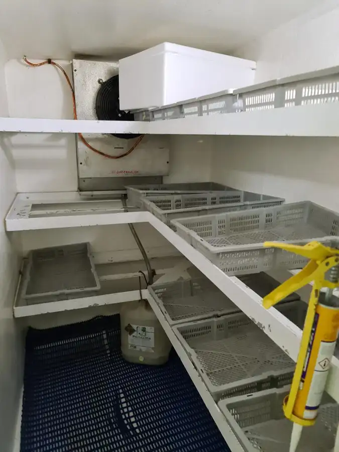 Kapal pukat panjang untuk dijual