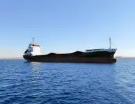 Pembawa pukal untuk jualan