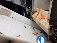 Kapal pukat untuk dijual
