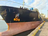 Pembawa pukal untuk jualan