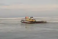 Bot tunda untuk jualan