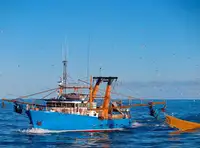 Kapal pukat untuk dijual