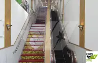 Ro-Ro ship untuk jualan