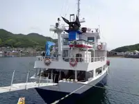 Pembawa pukal untuk jualan