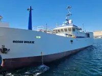 Longliner untuk jualan