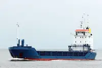 Pembawa pukal untuk jualan