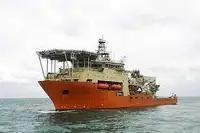 Pembawa pukal untuk jualan