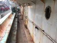 Kapal pencari sotong untuk dijual