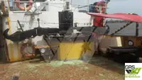 Bot tunda untuk jualan