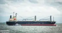 Kapal pengangkut pukal untuk dijual