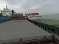 Pembawa pukal untuk jualan