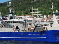 Kapal pukat lilit untuk dijual