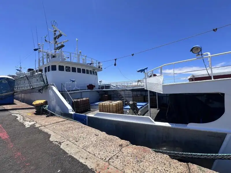 Kapal pukat untuk dijual