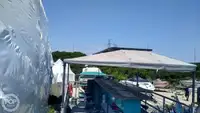 Kapal kontena untuk dijual