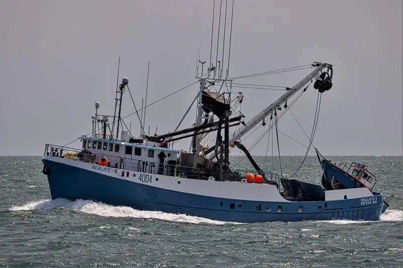Kapal pukat lilit untuk dijual