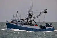 Kapal pukat lilit untuk dijual