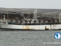 Kapal pencari sotong untuk dijual